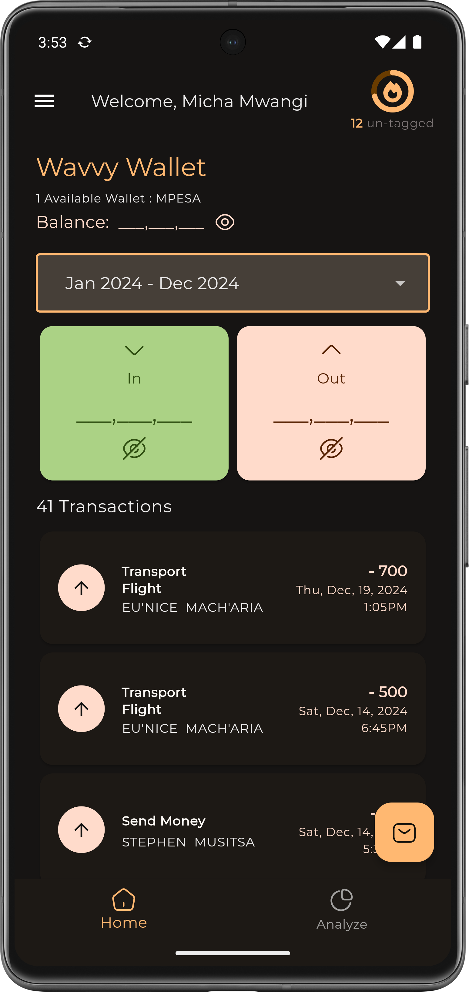Wavvy Wallet Features Beneficial for Black Tax Management